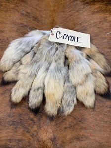 Natural Coyote Tail